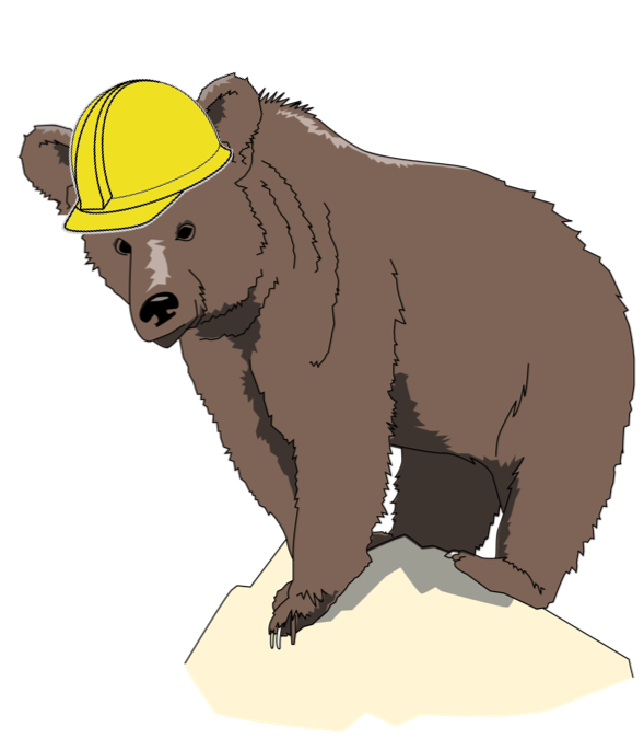 grizzly bear in a hard hat